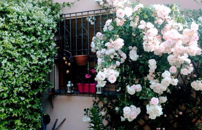 Appartamento La Terrazza Di Dora Menaggio Ngoại thất bức ảnh